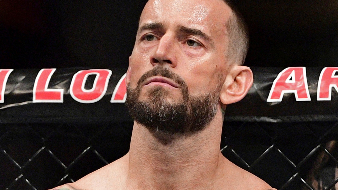 Former WWE star Punk's fight future could be in TV booth